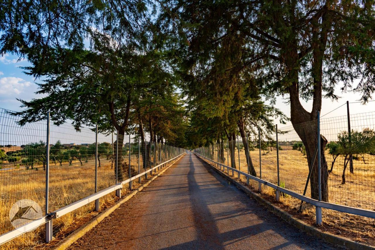 Alojamento Local Santa Marta Zebreira エクステリア 写真